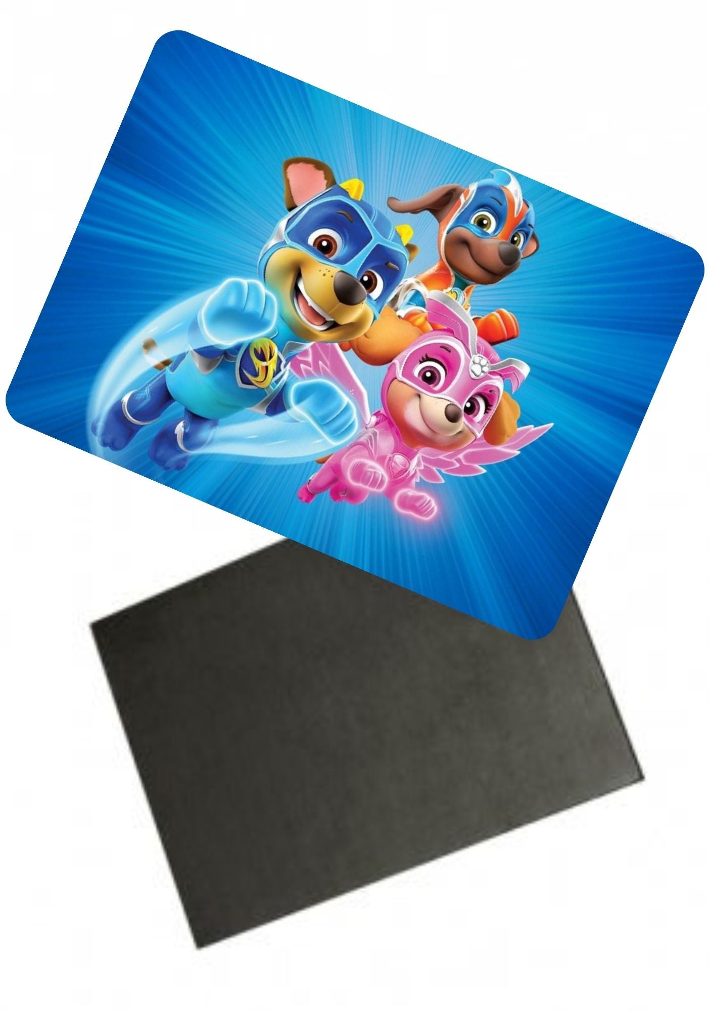 Magnes ceramiczny Psi Patrol #001