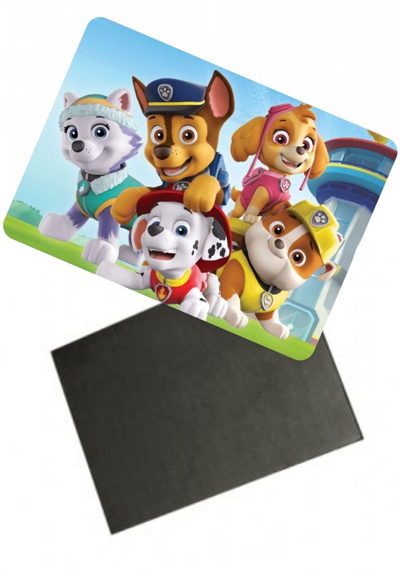 Magnes ceramiczny Psi Patrol #005